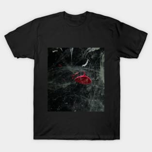 dark scratches T-Shirt